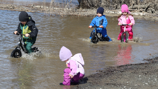 Family Activities to Enjoy in Spring in Canada
