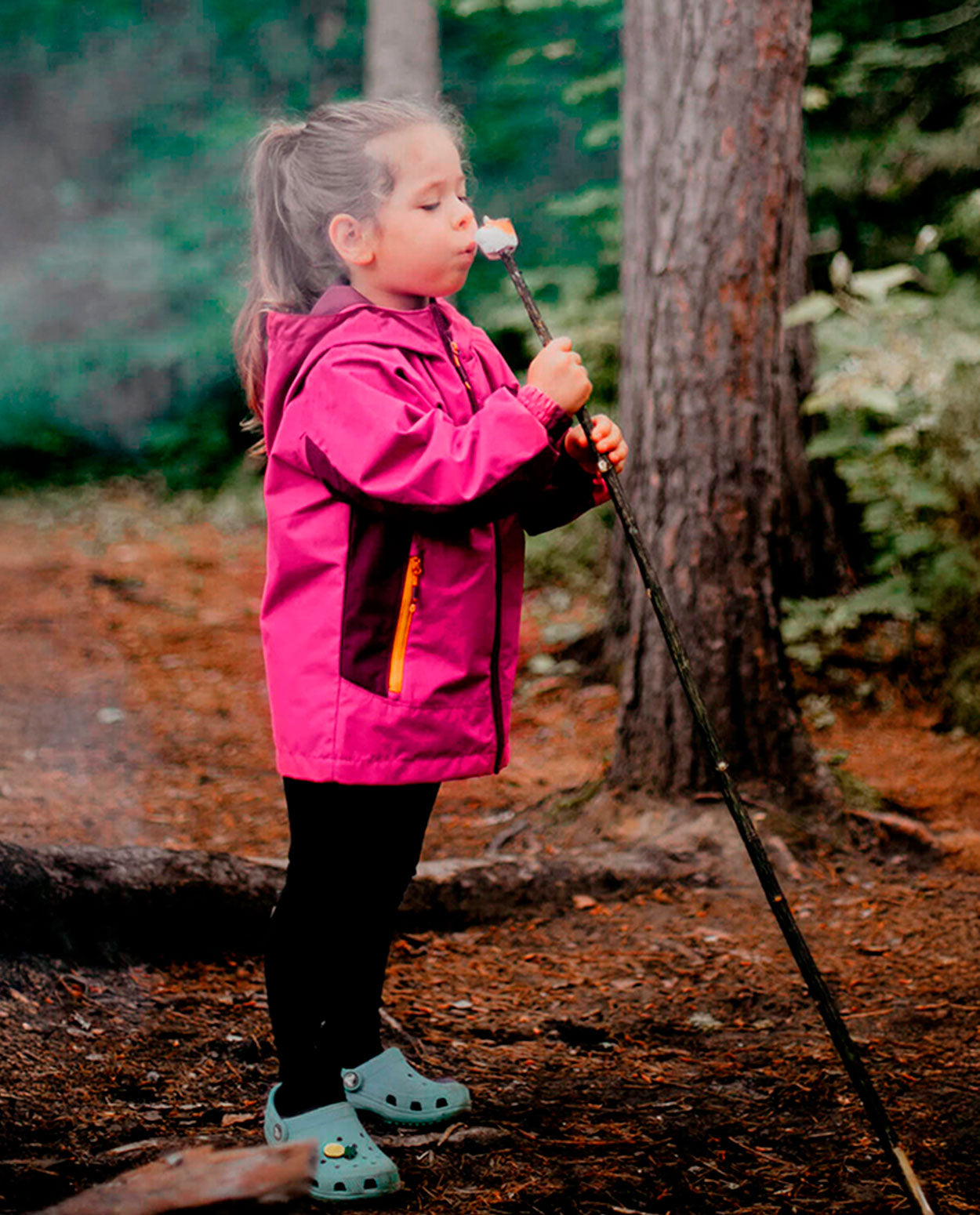 Clearance - Spring and fall